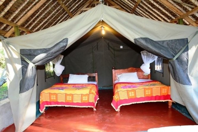 8 Days Kenya and Tanzania Private Lodging Safari from Nairobi - Price and Value: What $4,594.60 Actually Covers