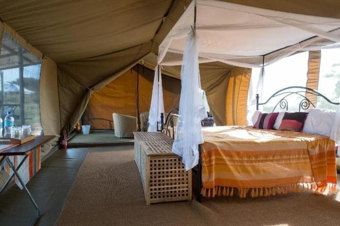 8 Days Kenya and Tanzania Private Lodging Safari from Nairobi - The Guide Factor: Why Chris, Nathan, Hussain, and David Matter