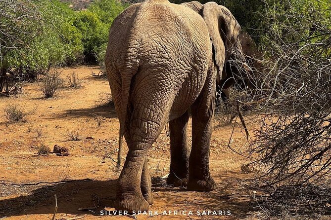 8 Days: Tsavo East National Park Amboseli, Nakuru, Maasai Mara Park - Why this Tsavo to Maasai Mara route feels worth the effort