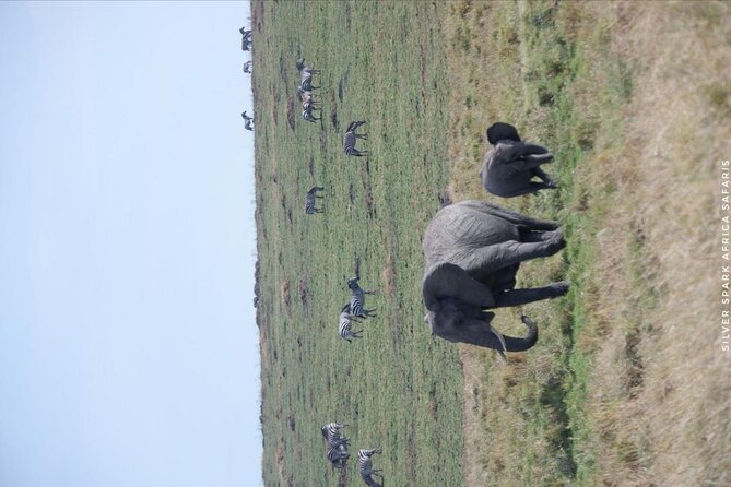 8 Days: Tsavo East National Park Amboseli, Nakuru, Maasai Mara Park - Amboseli National Park and Observation Hill: Kilimanjaro views plus elephant herds