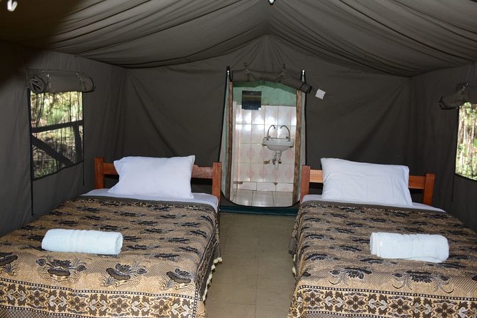 9 days, 8 nights budget Kenya and Tanzania safari - Lake Manyara to Arusha: Camping Mode and a Camp Chef