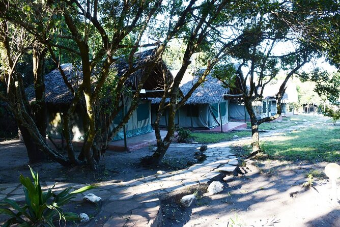 9 days, 8 nights budget Kenya and Tanzania safari - Serengeti National Park: Big-Country Wildlife Time