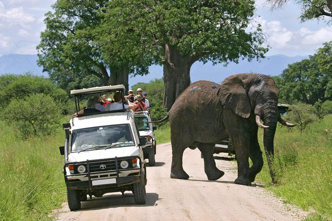 9-Days Best of Kenya Wildlife Private 4X4 Jeep Safari - Key Highlights to Know Before You Go