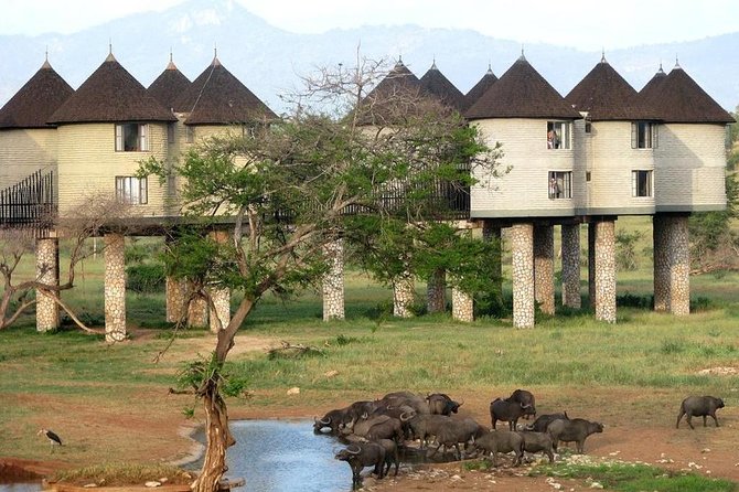 9 Days Kenya Classic Lodge Safari - Who this safari suits best