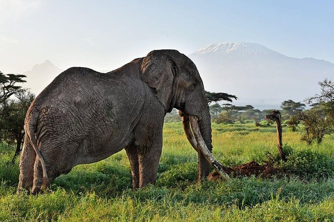 9 Days Samburu- Nakuru- Mara-Naivasha- Amboseli Wild Safari - Hells Gate: Walking with Wildlife and the Cycle Option You Might Skip