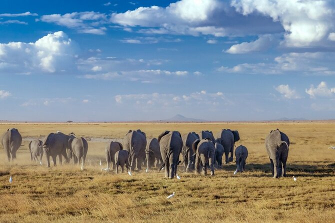 A thrilling Kenya 4 Days Adventure: Masai Mara &Lake Nakuru - Day 2 options: balloon safari (extra) and a Masai village visit