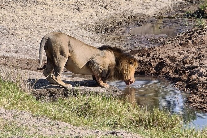 A thrilling Kenya 4 Days Adventure: Masai Mara &Lake Nakuru - Leaving the Mara: cultural stop and the drive toward Lake Nakuru