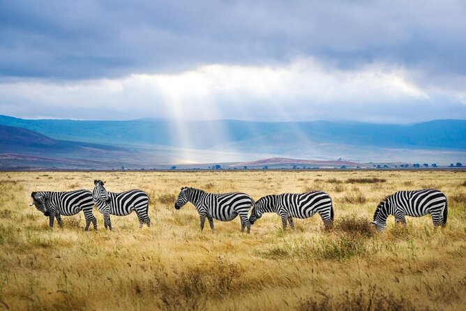 A thrilling Kenya 4 Days Adventure: Masai Mara &Lake Nakuru - Where you sleep, and how to judge comfort on safari