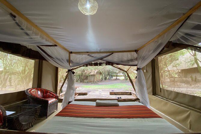 Adventure-fueled 3 Days Maasai Mara Safari - Optional hot-air balloon on Day 2, if you want a different angle