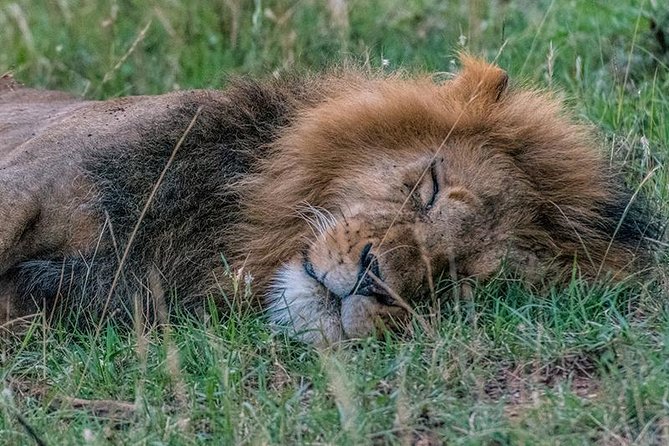 African Wildlife & Nature - 5 Kenya national parks - 6 day Jeep Safari - Who This Safari Fits Best, and Who Might Want a Different Route