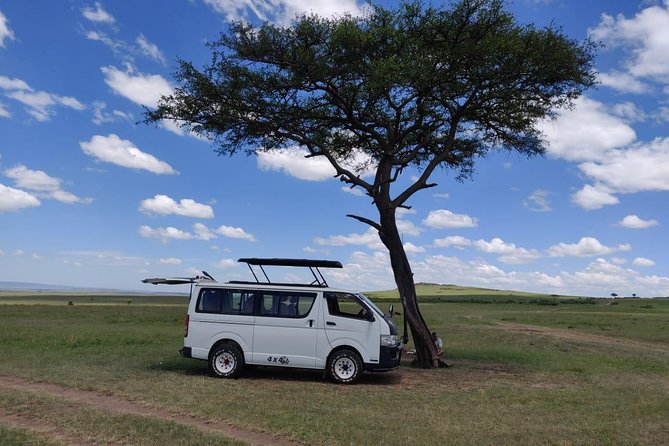 Afternoon half day mini safari to Nairobi National Park - Price and value: is $190 per person worth it?