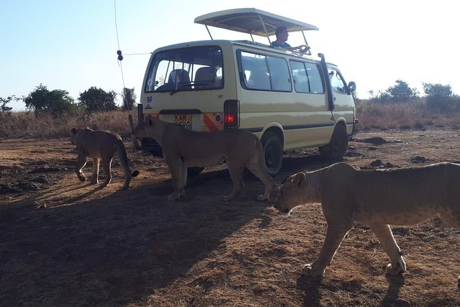 Airport Pick Up To Nairobi National Park / Drop Off - Airport to Nairobi National Park, Without the Full-Day Commitment