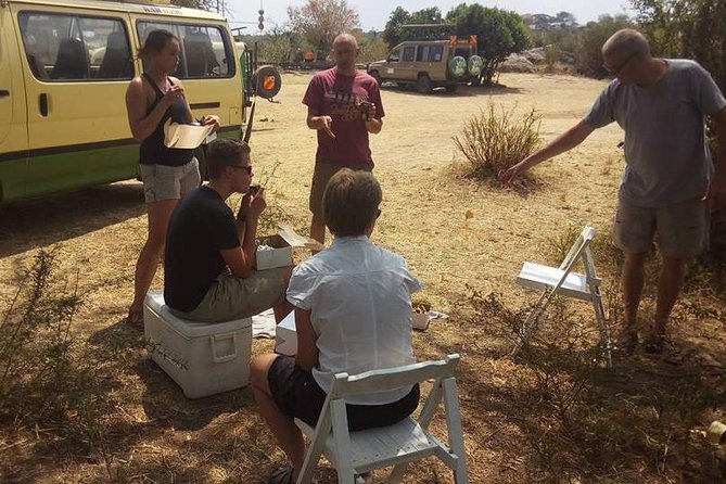 Airport Pick Up To Nairobi National Park / Drop Off - A Real Day-by-Day Flow You Can Plan Around