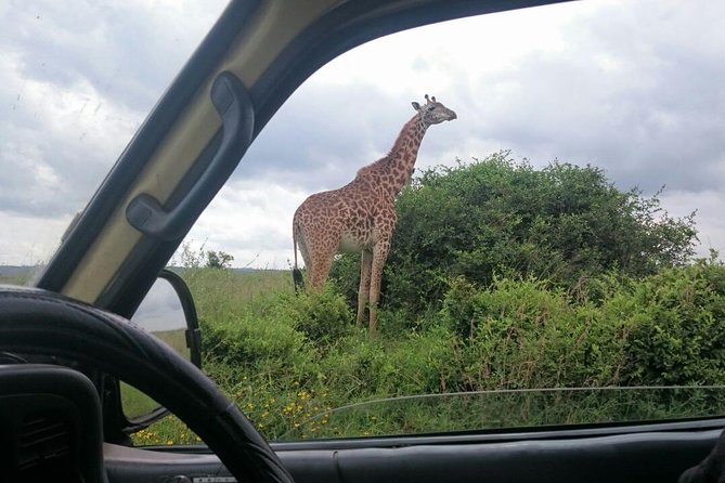 Airport Pick Up To Nairobi National Park / Drop Off - Included Comforts and the Stuff You Should Bring