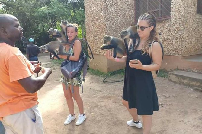 Airport Transfers to Watamu and Malindi - Key Highlights Worth Planning Around