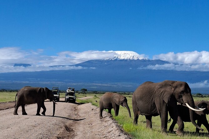 Amboseli Day Tour from Nairobi - Nairobi to Amboseli, The Real Logic Behind the Long Day