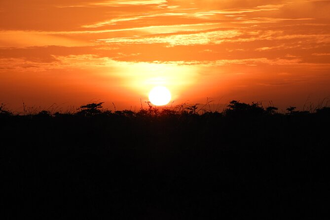 Amboseli Day Tour from Nairobi - The Day-by-Day Flow, With What to Watch For