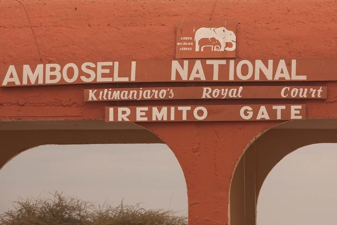 Amboseli Day Trip from Nairobi - What you’ll actually see: elephants, the Big Cats, and daily reality