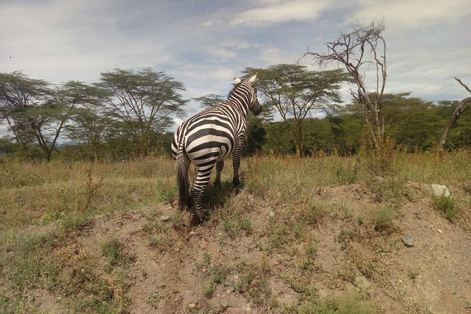 Amboseli Day Trip from Nairobi - Entering Amboseli National Park, then going right into game drive mode
