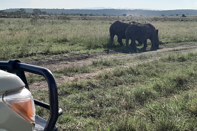 Amboseli day trip with pick up - Oltukai Lodge lunch stop: how to handle food and timing