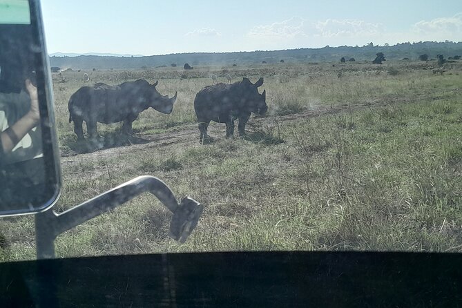 Amboseli day trip with pick up - Guides and comfort: what the best days feel like