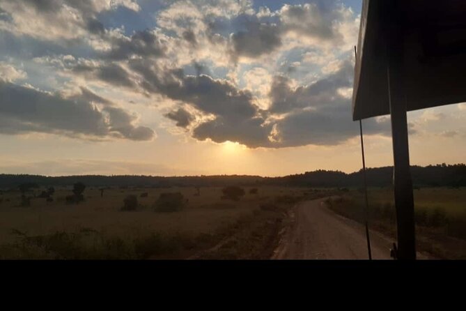 Amboseli Day Trip with Pickup - Money, meals, and how the $300 price adds up in real life