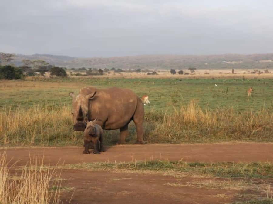 Amboseli National Park 3-Day Safari from Nairobi - Price and logistics: what $480 includes, and what to budget extra