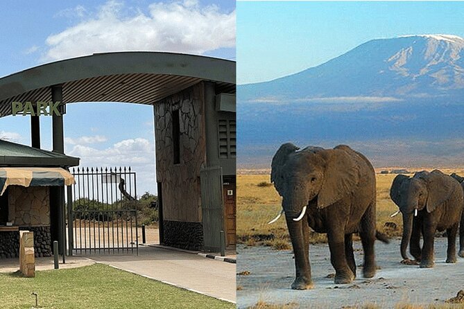 Amboseli National Park Day tour; Free Wifi Connection - Free Wi-Fi, mobile tickets, and other small comfort perks