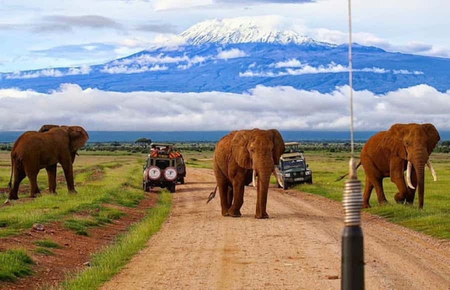 Amboseli National Park Day Trip and Maasai Village Visit - Key Things To Know Before You Go