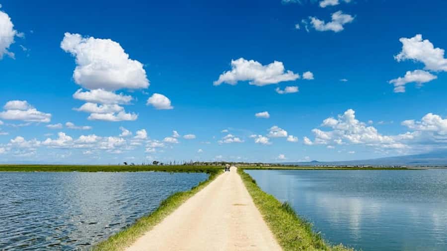 Amboseli National Park Day Trip and Maasai Village Visit - What to Bring, What Not to Do, and How to Stay Comfortable