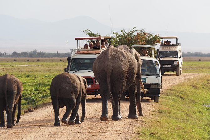 Amboseli National Park Full Day Guided Tour - Key points at a glance