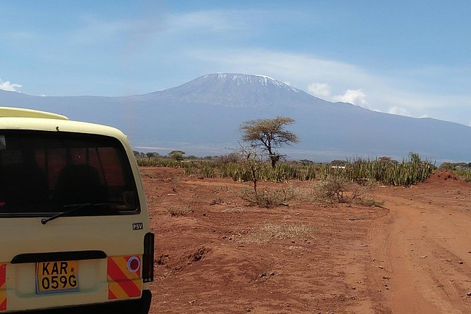 Amboseli Park & Kilimanjaro views Day tour - Key Highlights You Should Know