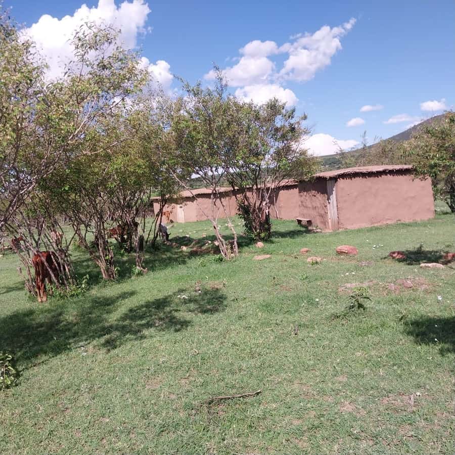 Amboseli Wildlife Day Tour And Masai Village Visit - Mount Kilimanjaro and Amboseli, the view-first safari