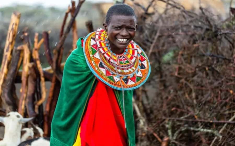 Amboseli Wildlife Day Tour And Masai Village Visit - Price and value, $162 plus the real add-ons