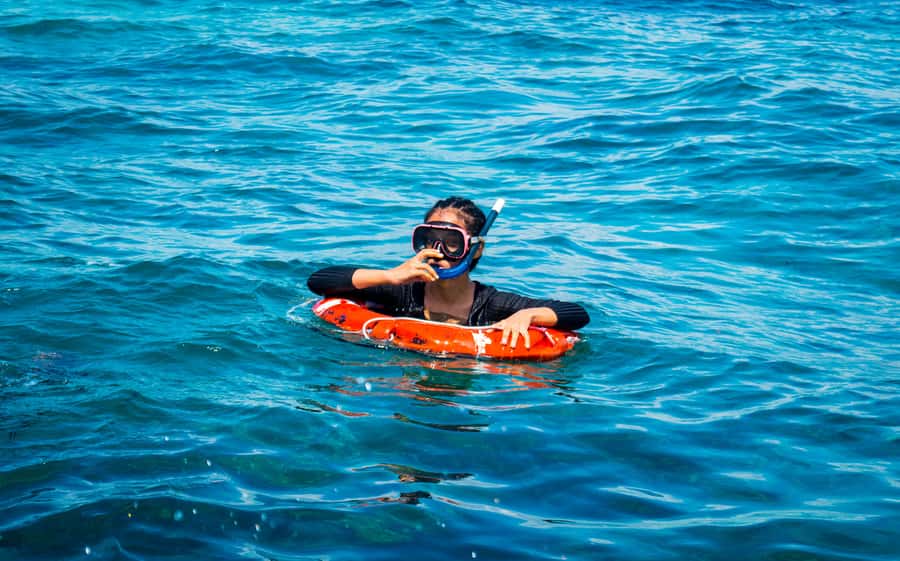 Blue Safari: Snorkeling at Watamu Marine Park & Seafood - Why this Watamu Marine Park day feels like a solid coast escape