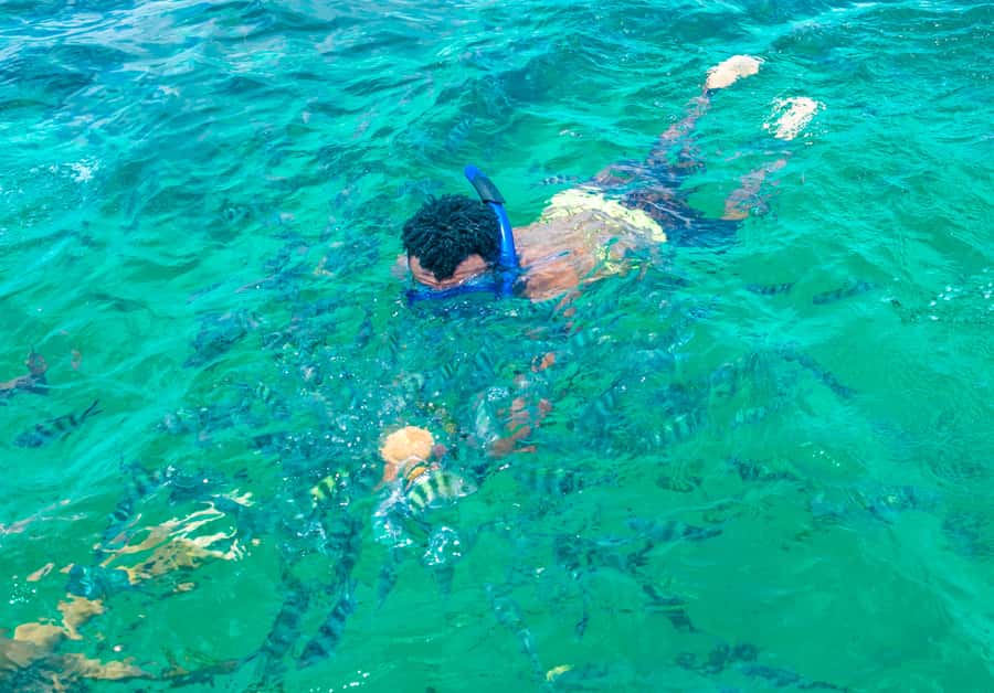 Blue Safari: Snorkeling at Watamu Marine Park & Seafood - Getting started: pickup, drive time, and what the schedule really means