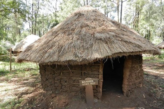 Bomas half day tour from Nairobi - Should you book the Bomas half-day tour from Nairobi?