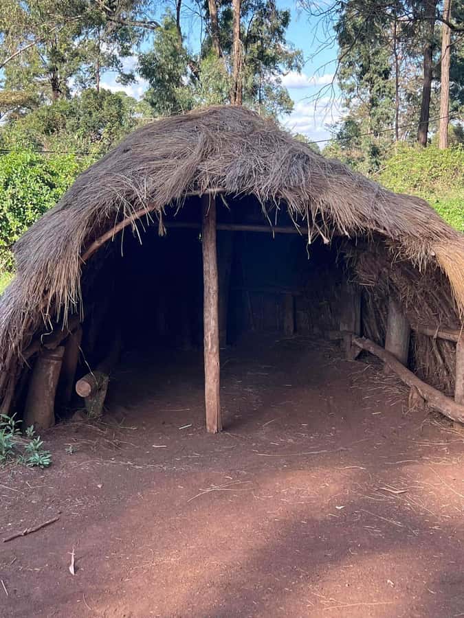 Bomas Of Kenya Cultural Experience - Price and Value: Why $62 Can Be Worth It, Or Feel Too High