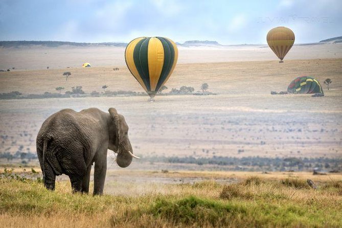 Classic Best Adventure In Kenya And Tanzania 2025 - Lake Manyara: tree-climbing lions and Great Rift Valley timing