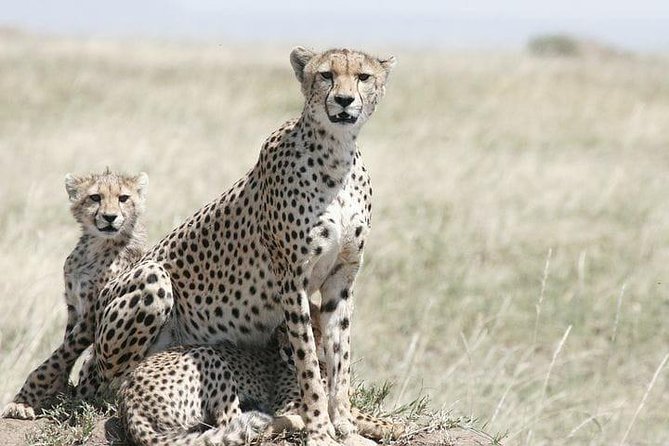 Classic Best Adventure In Kenya And Tanzania 2025 - Day 1 in Nairobi: hotel comfort and a proper welcome