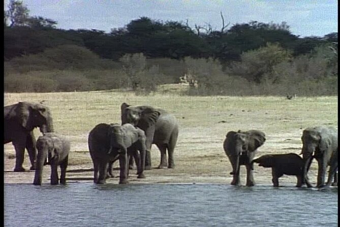 Classic Best of Kenya - Nairobi on Day 7: Last Shopping, Then Home (Or Extension)