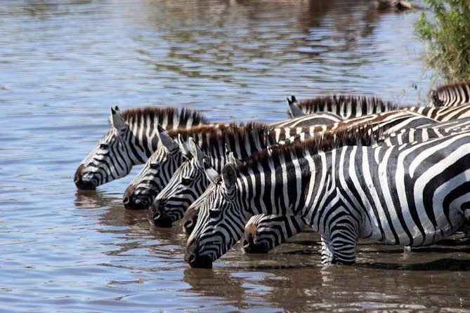 Classic Luxury 4 X 4 Masai Mara Safari - Price and value: is $1,700 per person fair for this safari?