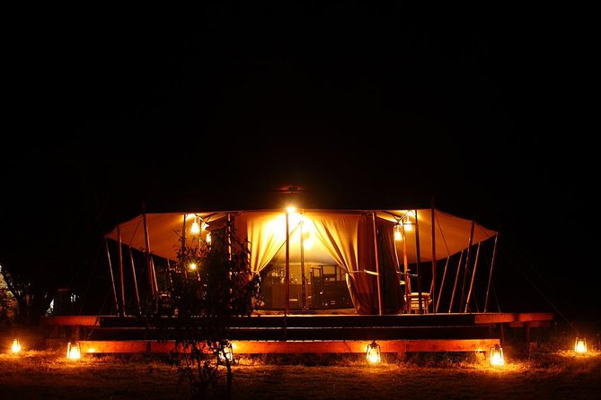 Classic Luxury 4 X 4 Masai Mara Safari - The guide experience: why the service details matter