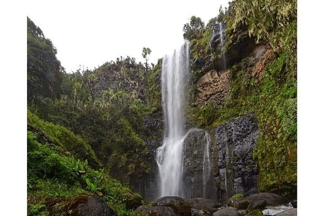 Climbing Mount Kenya 5 Days Via Chogoria Route - Day 5: Down to Sirimon Park Gate and Back to Nairobi in Late Afternoon
