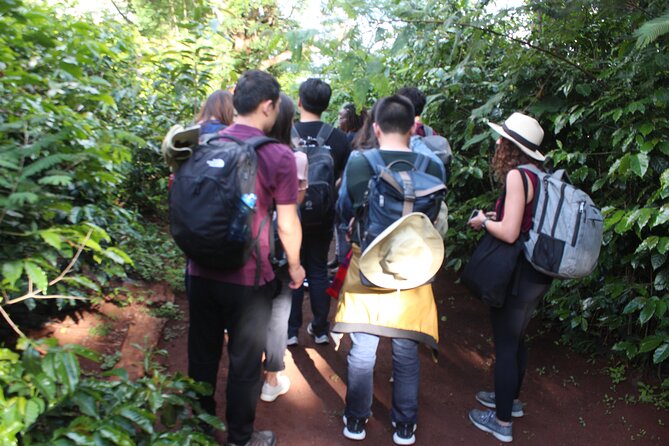 Coffee farm tour, coffee roasting and tasting experience - Logistics: Nairobi Transfers, Road Conditions, and What to Expect
