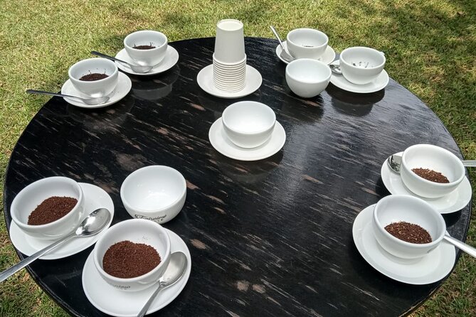 Coffee Farm Tour (Fairview) - Farm walk focus: cultivation, cherries, and what ripeness looks like