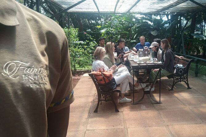 Coffee Farm Tour (Fairview) - Processing lessons that make the tasting make sense