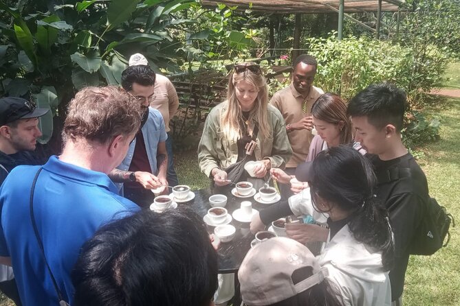 Coffee Farm Tour (Fairview) - The four-coffee tasting: how to get more out of it