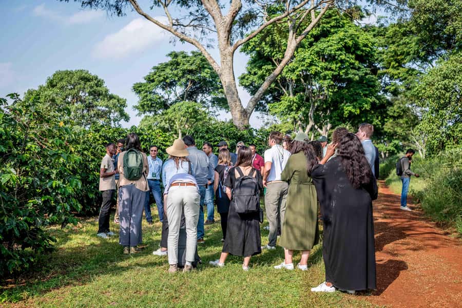 Coffee Farm Tour (Fairview) - Price and value: what $39 really buys you, plus the extra fee