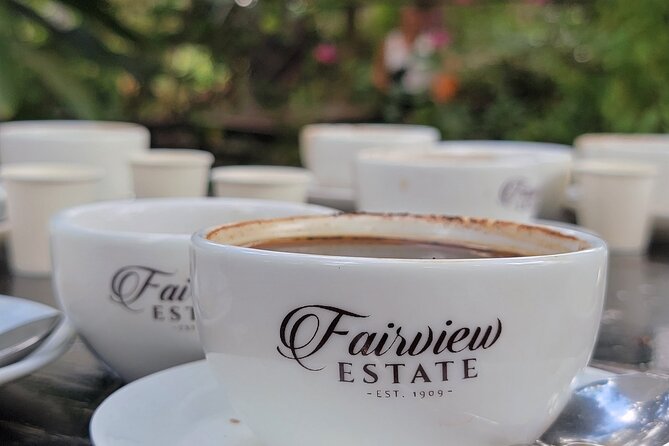 Coffee Farm Tour (Fairview) - Arriving at Fairview Coffee Estate in Kiambu: your first clues about the coffee